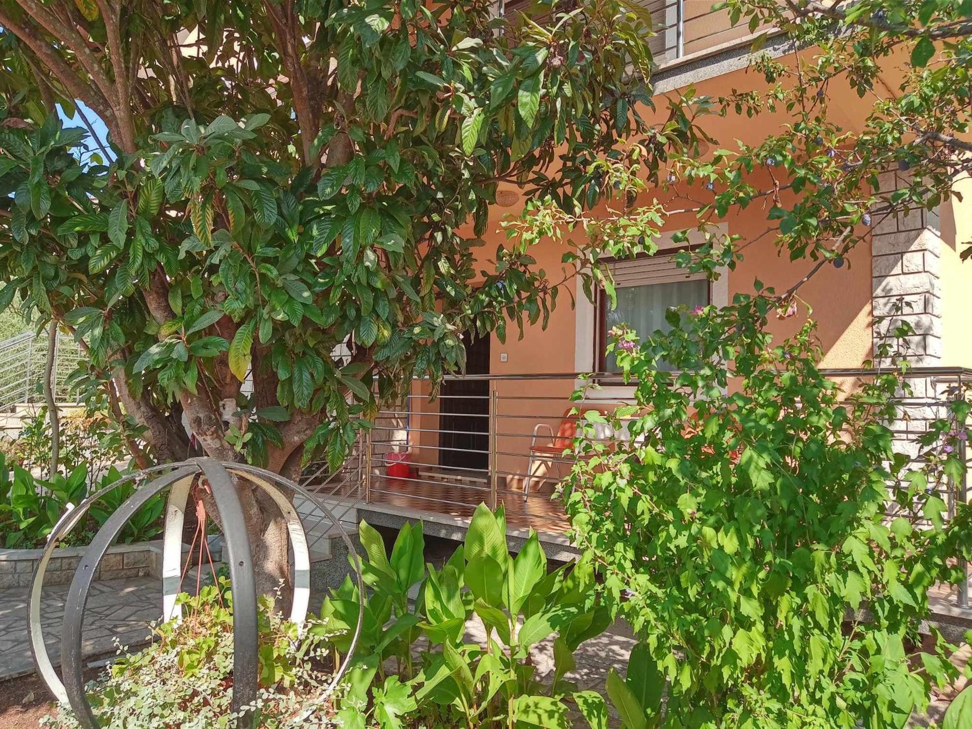 Apartments Nela プーラ エクステリア 写真